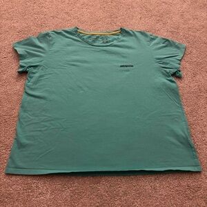 Patagonia Men's Teal Short Sleeve Tee